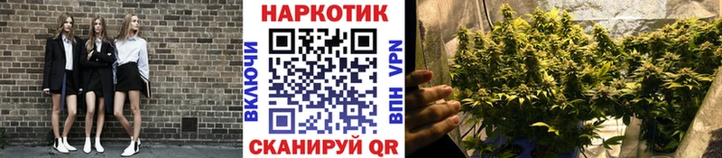 Названия наркотиков Сертолово Конопля  Меф  Кокаин  АМФЕТАМИН  Гашиш 