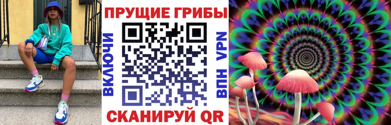 Псилоцибиновые грибы ЛСД  Сертолово 